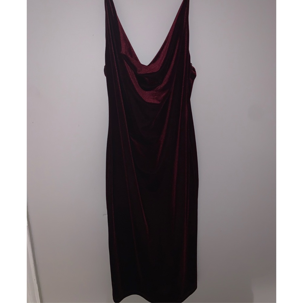 Wine color velvet dress.